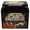 Energie 2400 Watt 12 volt Power Cell